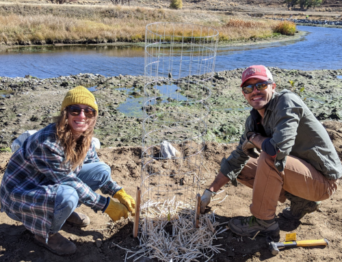 Talking Green: Yampa Valley Climate Crew concludes successful 1st season of volunteer projects