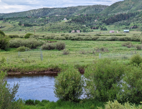 Intern Highlight: a River at the Heart of a Community